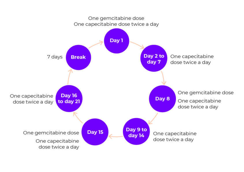 Diagram showing the cycle of gemcitabine treatment