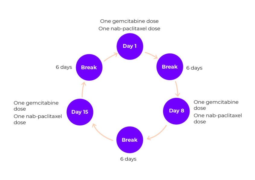 Diagram showing nab paclitaxel chemotherapy cycle